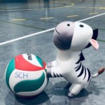 Ball-Zebra text