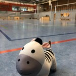 allein in der Halle Mamfred_07